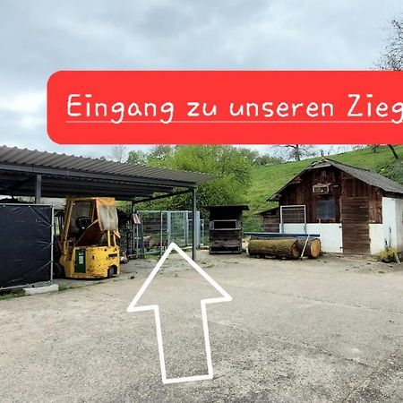 Ferienwohnung/Monteurzimmer Auf Dem Bauernhof Mörlenbach Kültér fotó