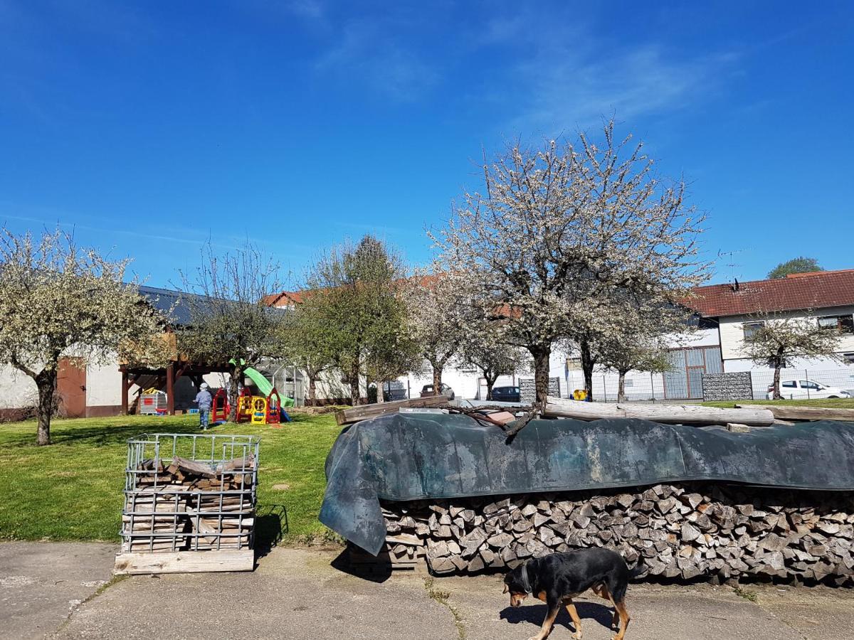 Ferienwohnung/Monteurzimmer Auf Dem Bauernhof Mörlenbach Kültér fotó