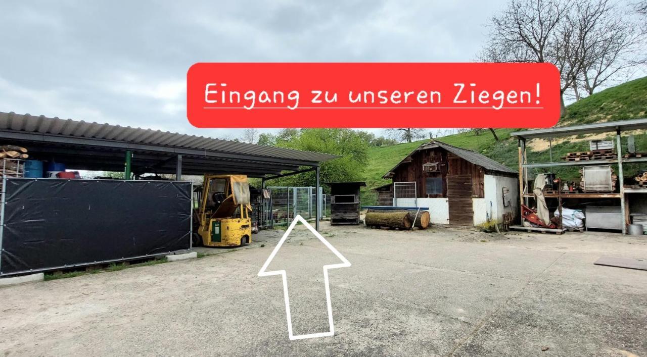 Ferienwohnung/Monteurzimmer Auf Dem Bauernhof Mörlenbach Kültér fotó
