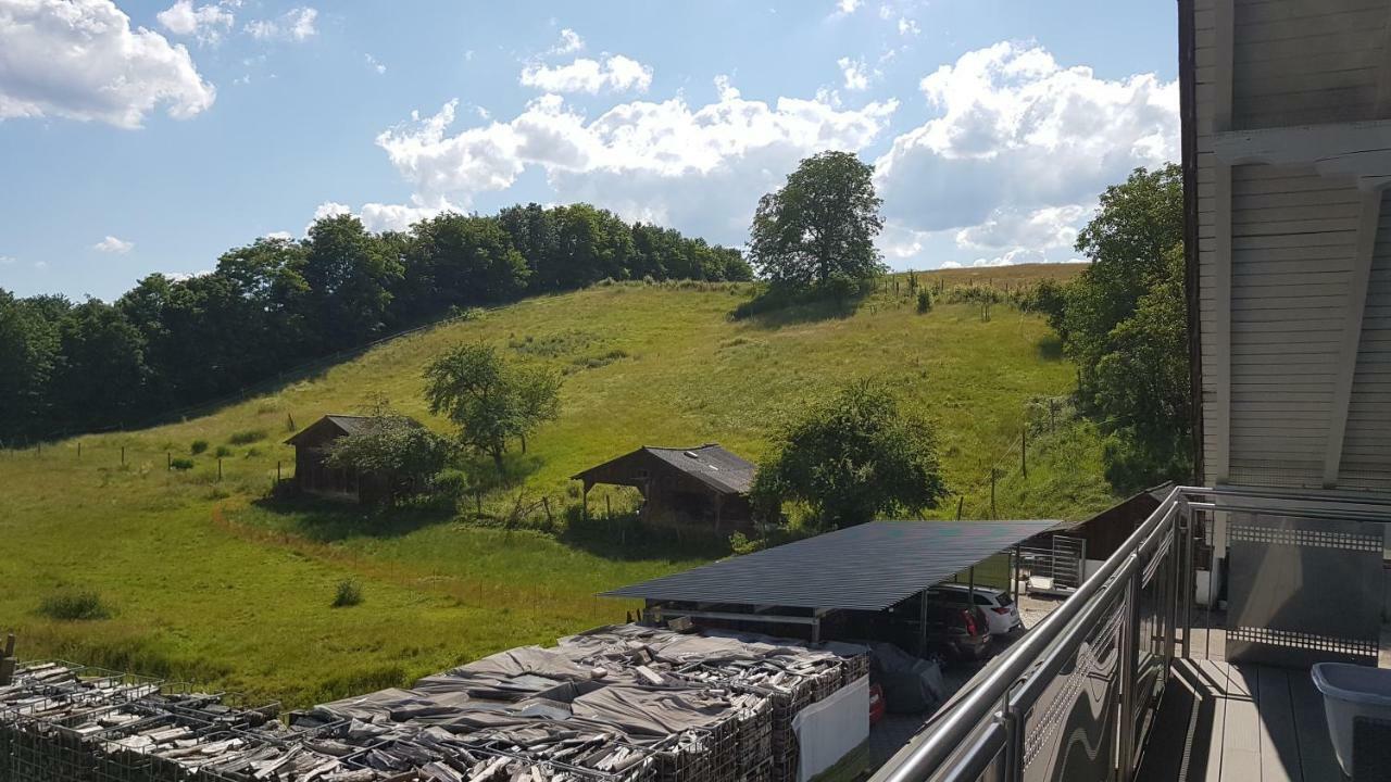 Ferienwohnung/Monteurzimmer Auf Dem Bauernhof Mörlenbach Kültér fotó