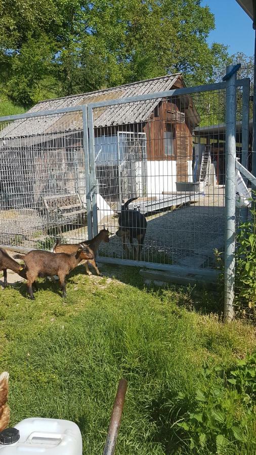 Ferienwohnung/Monteurzimmer Auf Dem Bauernhof Mörlenbach Kültér fotó